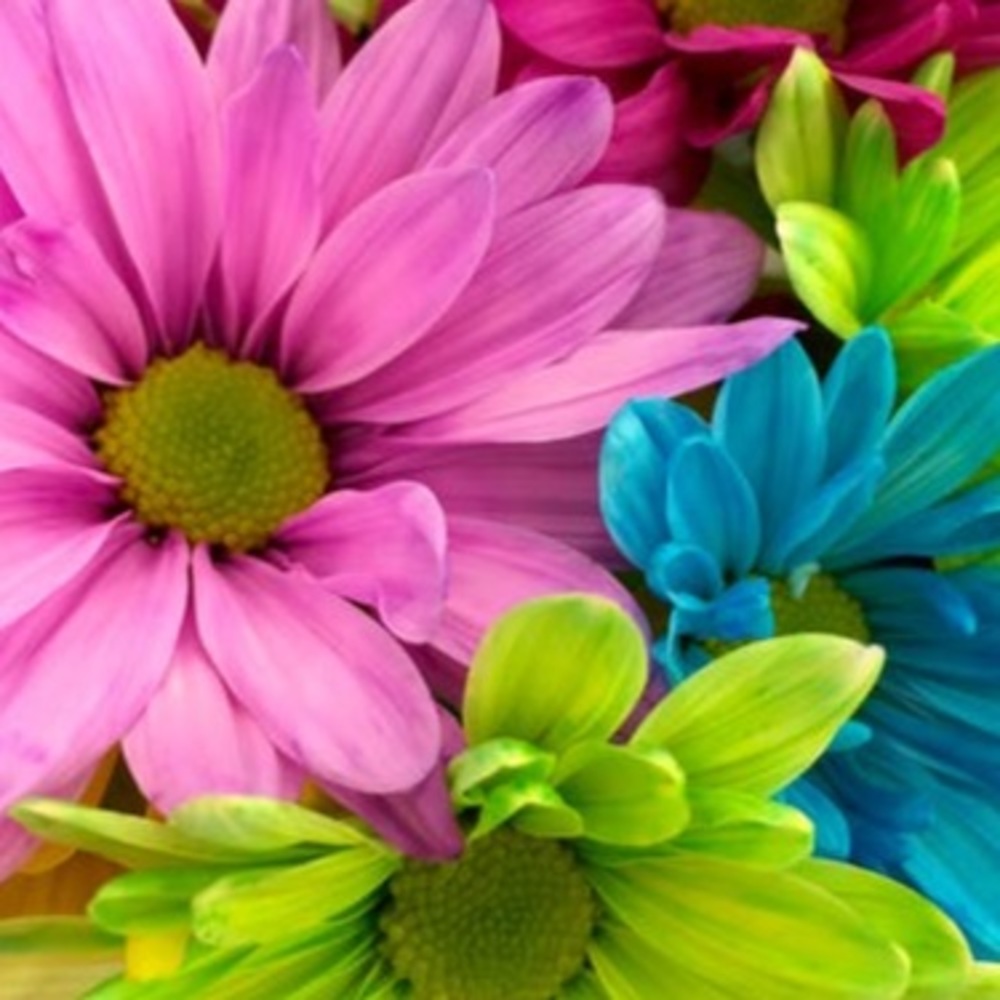 Meet your Posher, Ale